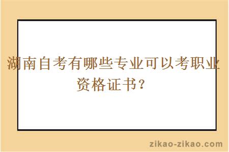 湖南自考有哪些专业可以考职业资格证书？