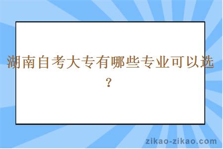 湖南自考大专有哪些专业可以选？