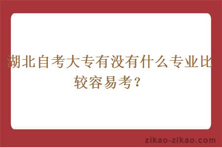 湖北自考大专有没有什么专业比较容易考？