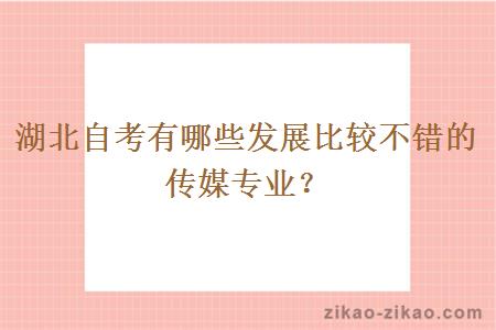 湖北自考有哪些发展比较不错的传媒专业？