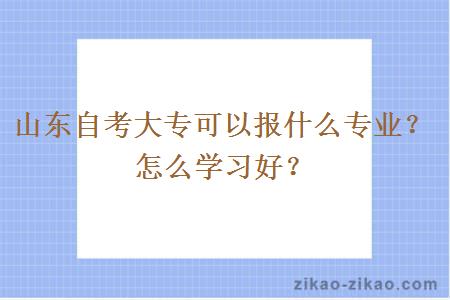 山东自考大专可以报什么专业？怎么学习好？