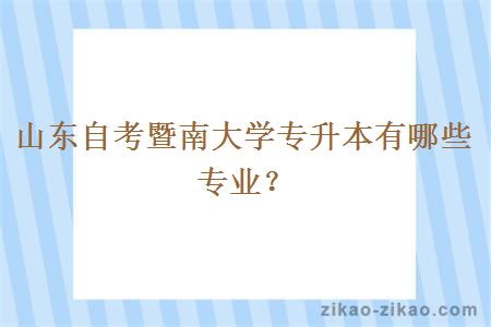 山东自考暨南大学专升本有哪些专业？