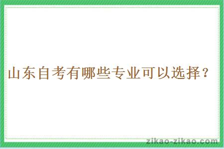 山东自考有哪些专业可以选择？