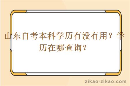 山东自考本科学历有没有用？学历在哪查询？