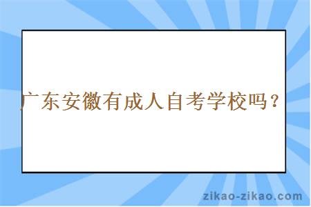 广东安徽有成人自考学校吗？