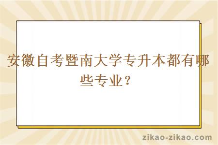 安徽自考暨南大学专升本都有哪些专业？