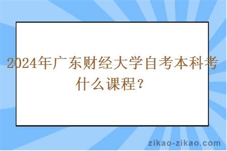 2024年广东财经大学自考本科考什么课程？