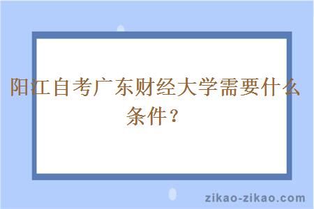 阳江自考广东财经大学需要什么条件？