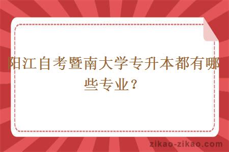 阳江自考暨南大学专升本都有哪些专业？