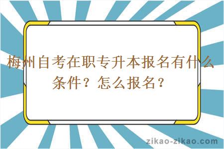 梅州自考在职专升本报名有什么条件？怎么报名？