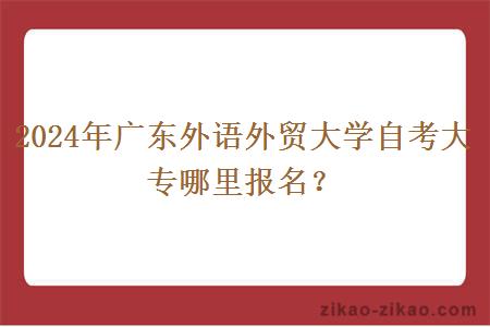 2024年广东外语外贸大学自考大专哪里报名？