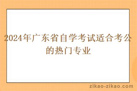 2024年广东省自学考试适合考公的热门专业