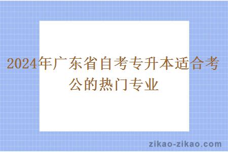 2024年广东省自考专升本适合考公的热门专业