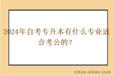 2024年自考专升本有什么专业适合考公的？