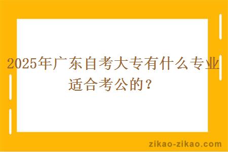 2025年广东自考大专有什么专业适合考公的？