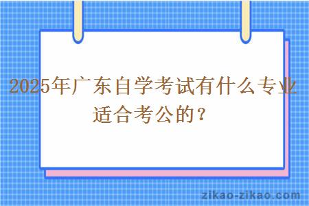 2025年广东自学考试有什么专业适合考公的？