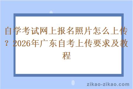 自学考试网上报名照片怎么上传?2026年广东自考上传要求及教程 自学考试网上报名照片怎么上传?2026年广东自考上传要求及教程
