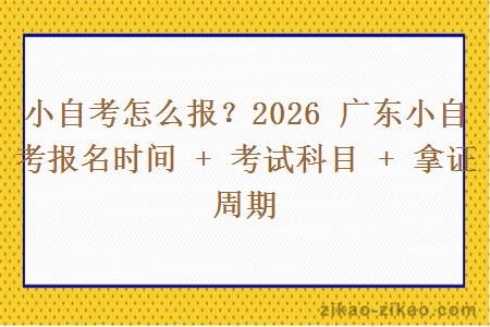 小自考怎么报？2026 广东小自考报名时间 + 考试科目 + 拿证周期