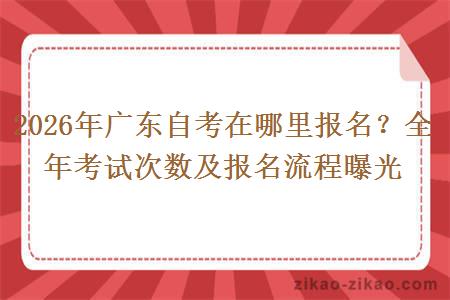 2026年广东自考在哪里报名？全年考试次数及报名流程曝光