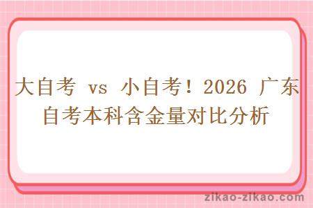 大自考 vs 小自考！2026 广东自考本科含金量对比分析