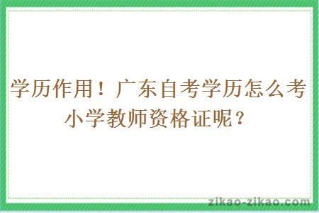 学历作用！广东自考学历怎么考小学教师资格证呢？