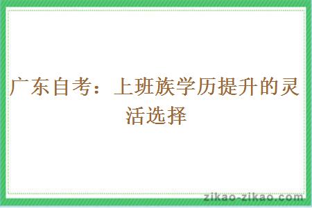 广东自考：上班族学历提升的灵活选择