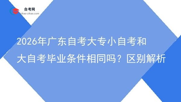 2026年广东自考大专小自考和大自考毕业条件相同吗?区别解析图片